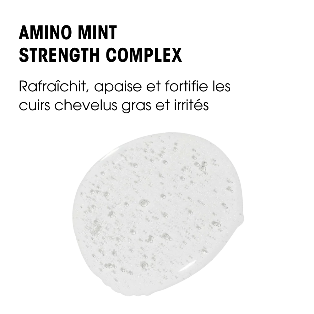 Amino Mint Shampoo - Redken - Shampoings - Tuccinardi
