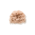 Pince Fleur Ranchie - Pince-moi - Accessoires cheveux - Tuccinardi