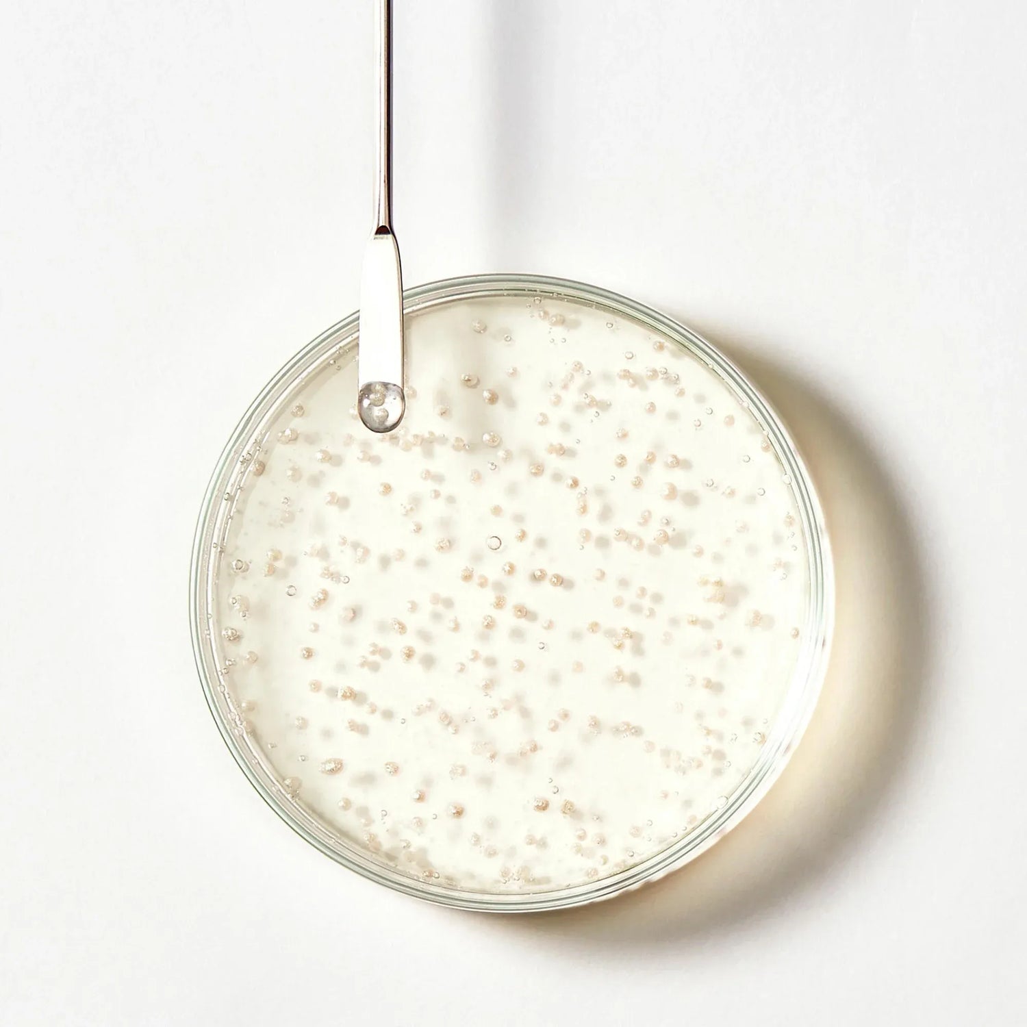 Shampoing Triphasic anti-chute - René Furterer - Shampoings