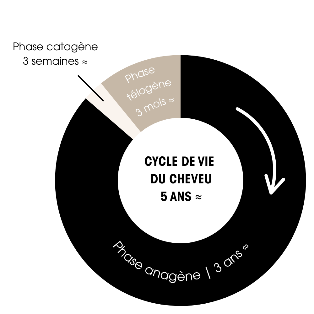 Trio Sprunchies Loop + Strong Hair Tie