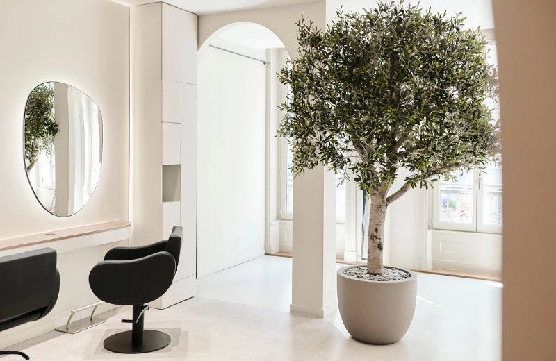 Hair Studio Thomas Tuccinardi  - Lyon