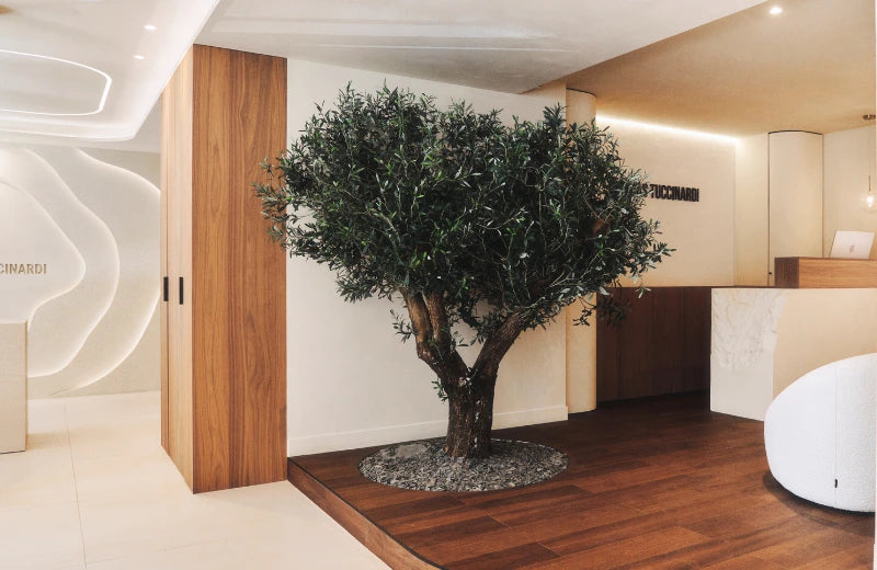 Hair Studio Thomas Tuccinardi  - Paris