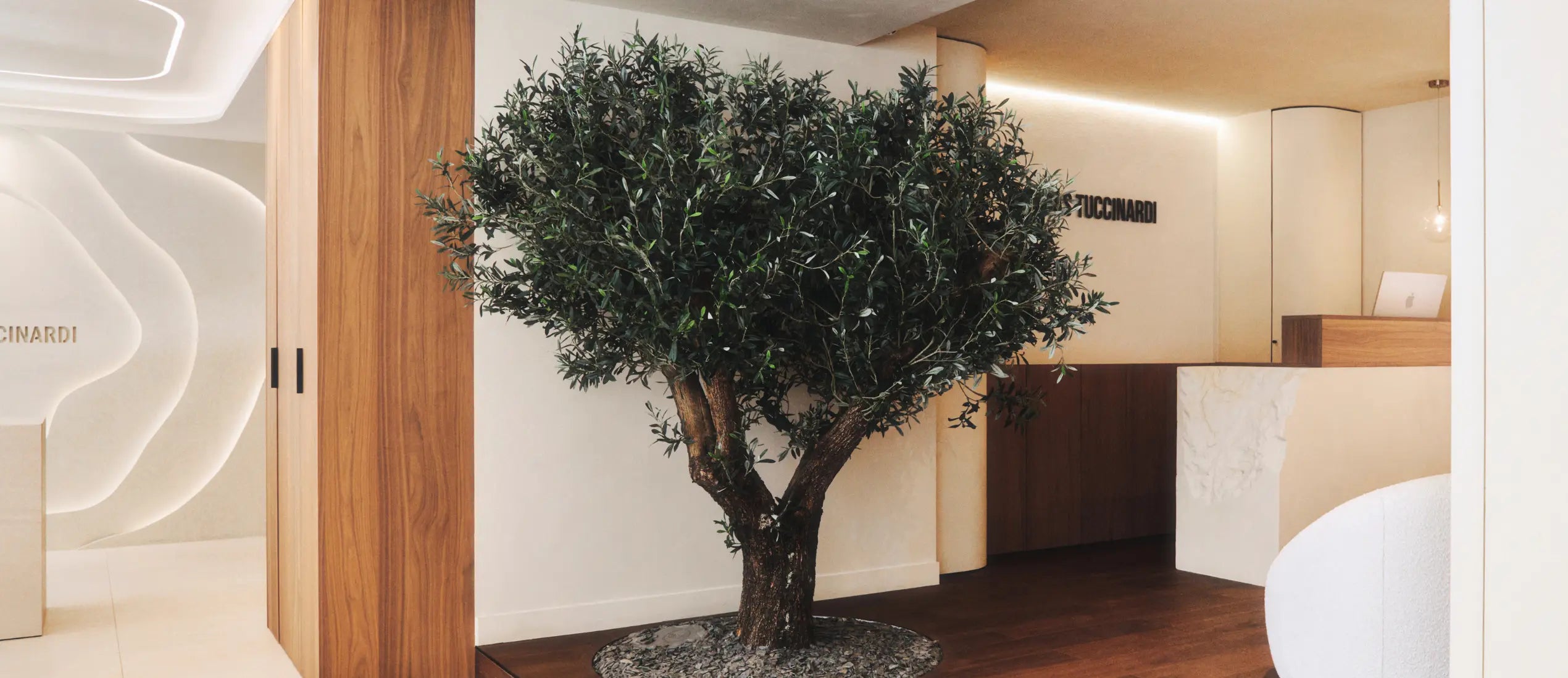 Hair Studio Thomas Tuccinardi  - Paris