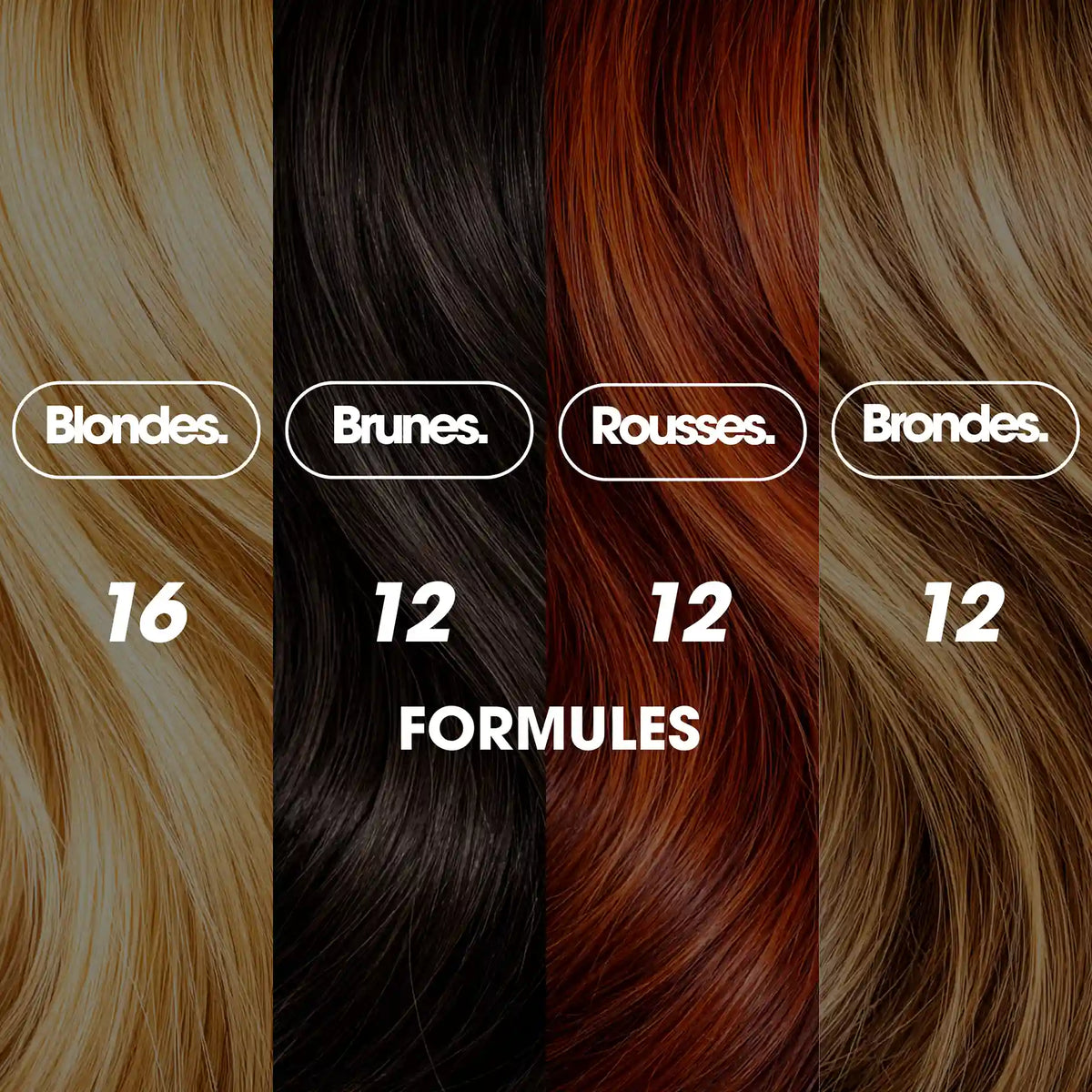 The Formula Guide - Ebook - Produits numériques - Thomas Tuccinardi