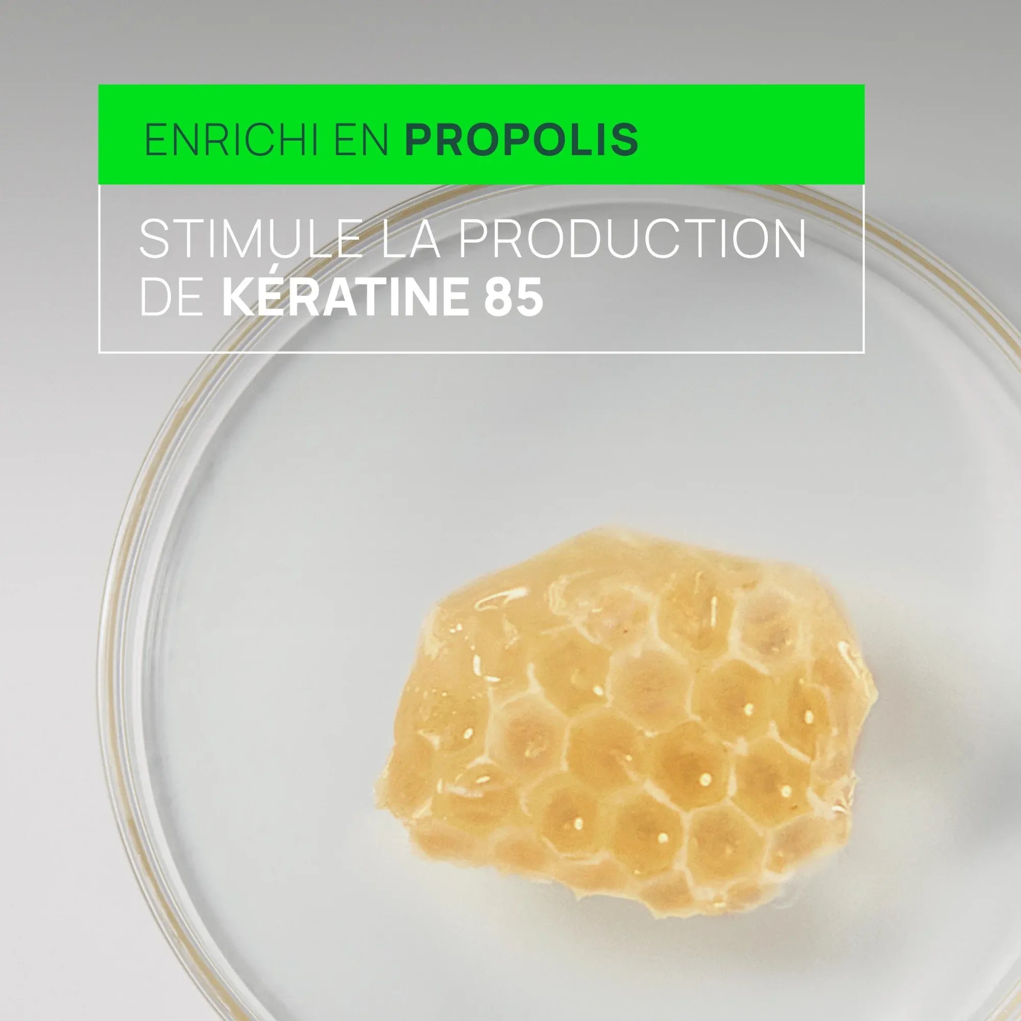Triphasic Reactional - Traitement antichute réactionnelle - René Furterer